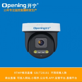 4K800万6倍变焦云台半球 